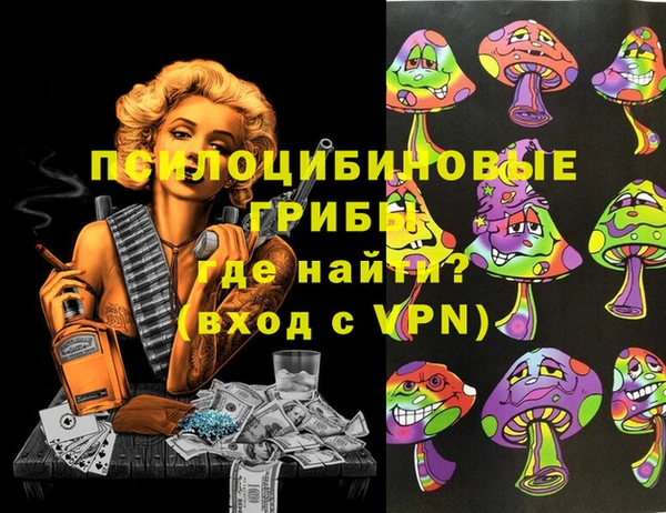спиды Новокубанск