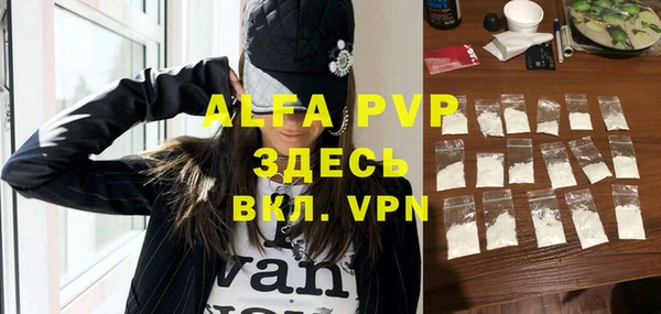 спиды Новокубанск