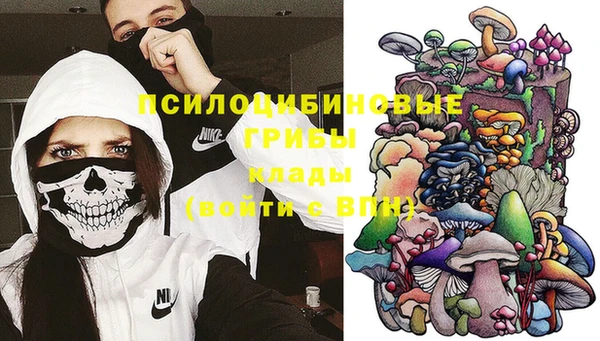 спиды Новокубанск